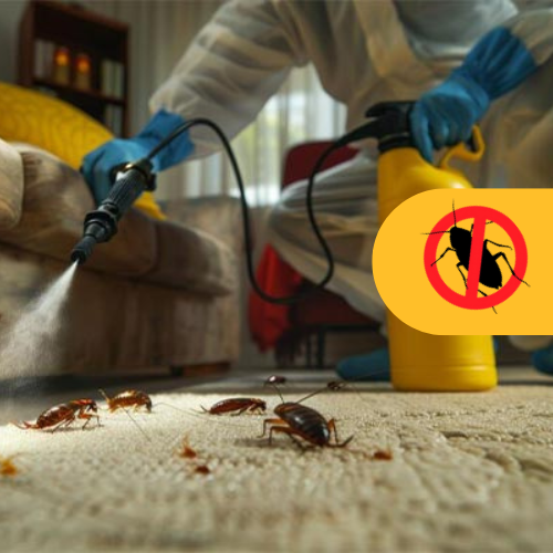 General Pest Control: image showing a technician spraying pest control treatment in a residential home